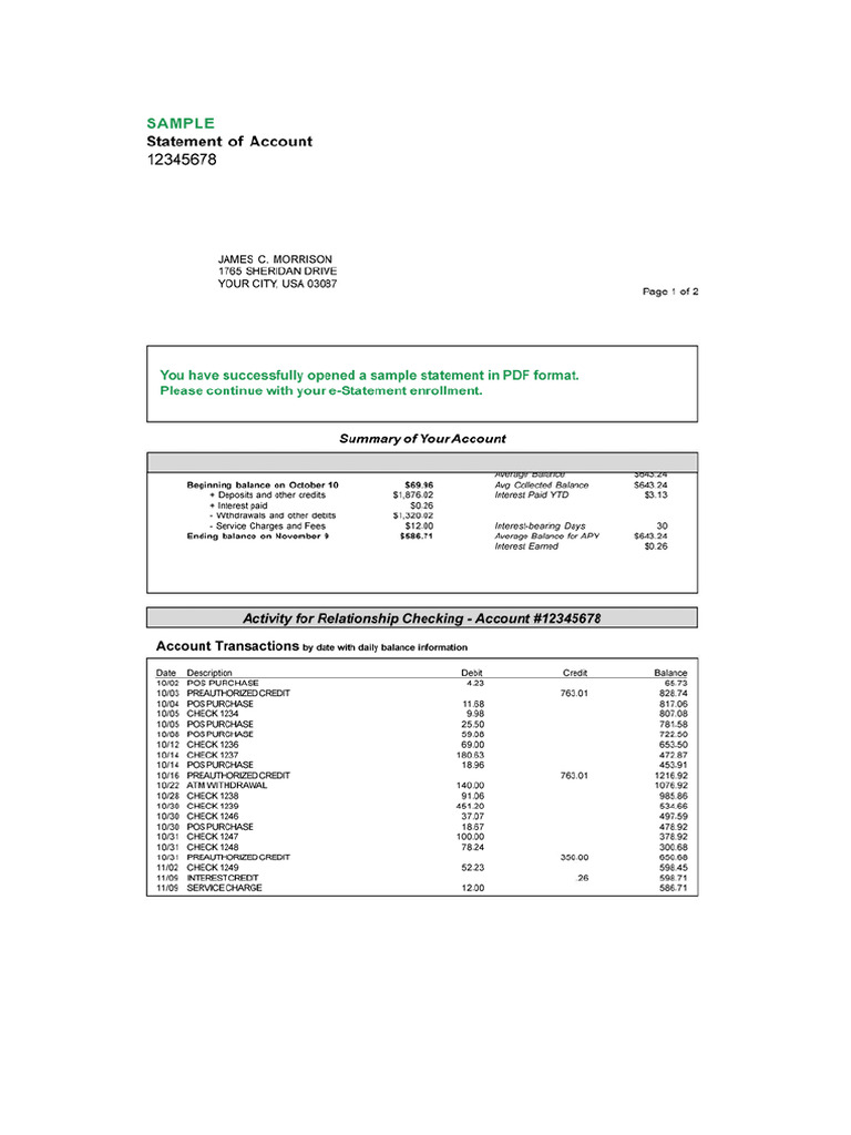 Dummy Statement Img | PDF