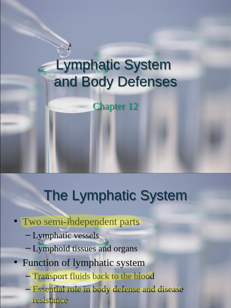 Week 12 - Lymphatic System | PDF | Lymphatic System | Lymph Node