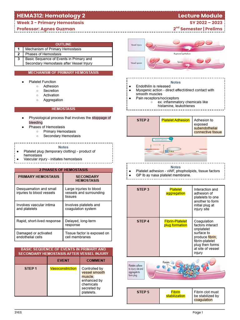 Hema312-Week-3-Primary Hemostasis | PDF | Coagulation | Platelet