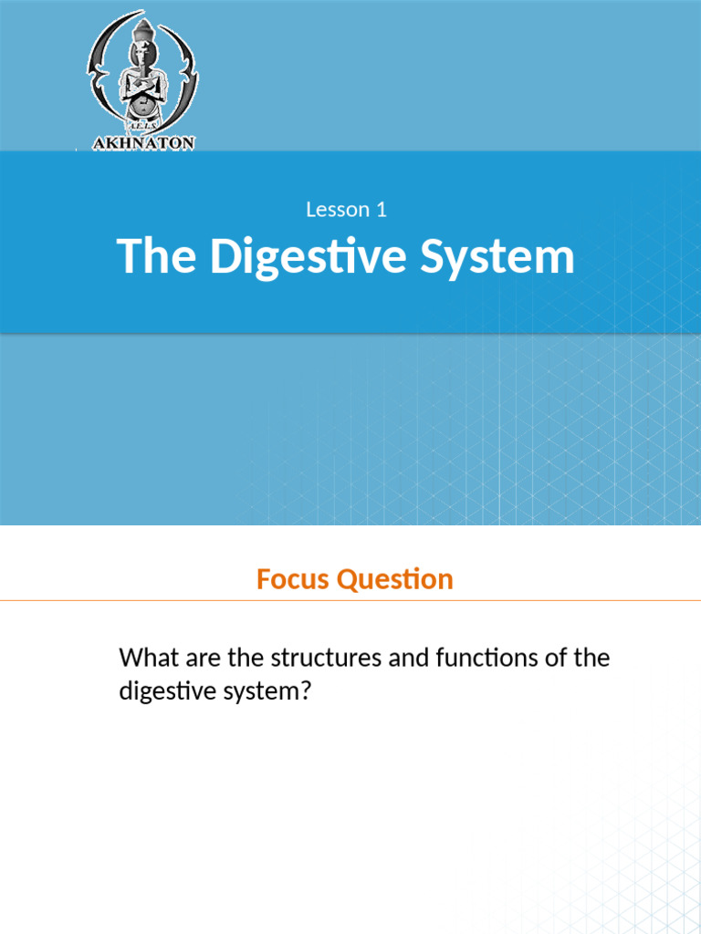 Overview of the Digestive System Functions | PDF | Digestion | Human ...
