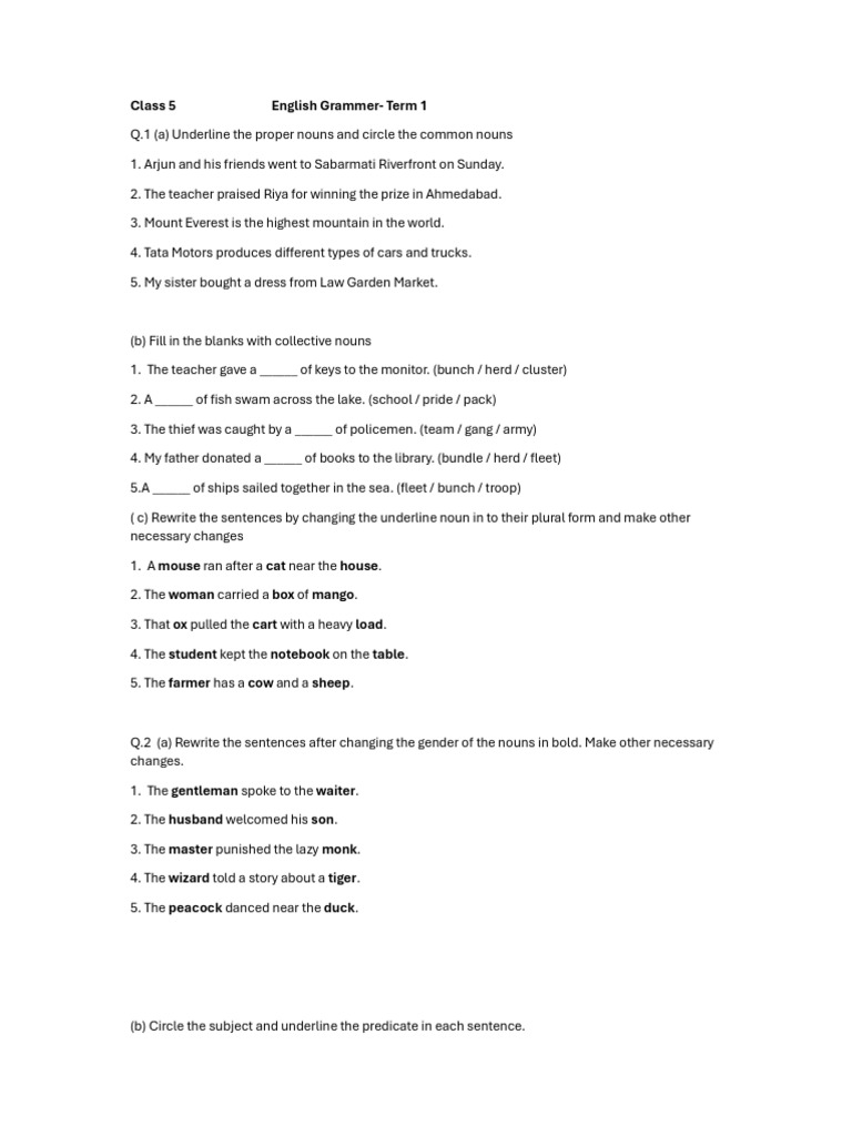 Class 5 English Grammar Exercises | PDF | Grammar | Linguistics