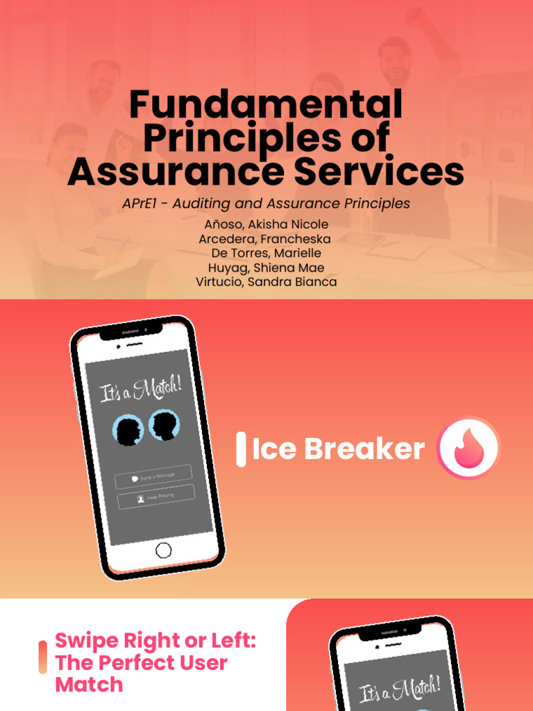 For Auditing & Assurance Principles Ch1&2 | PDF | Audit | Financial Audit