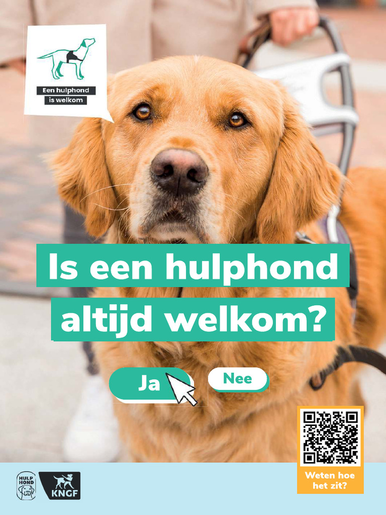 KNGF - HH - Flyer | PDF