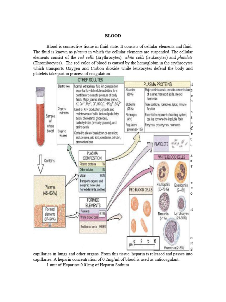 Blood Composition and Functions Explained | PDF | Hemoglobin | Red ...