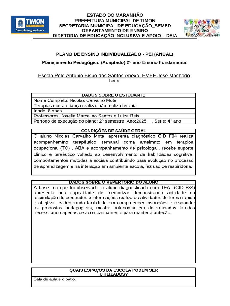 Plano de Ensino Individualizado para TEA | PDF | Inclusão (Educação ...
