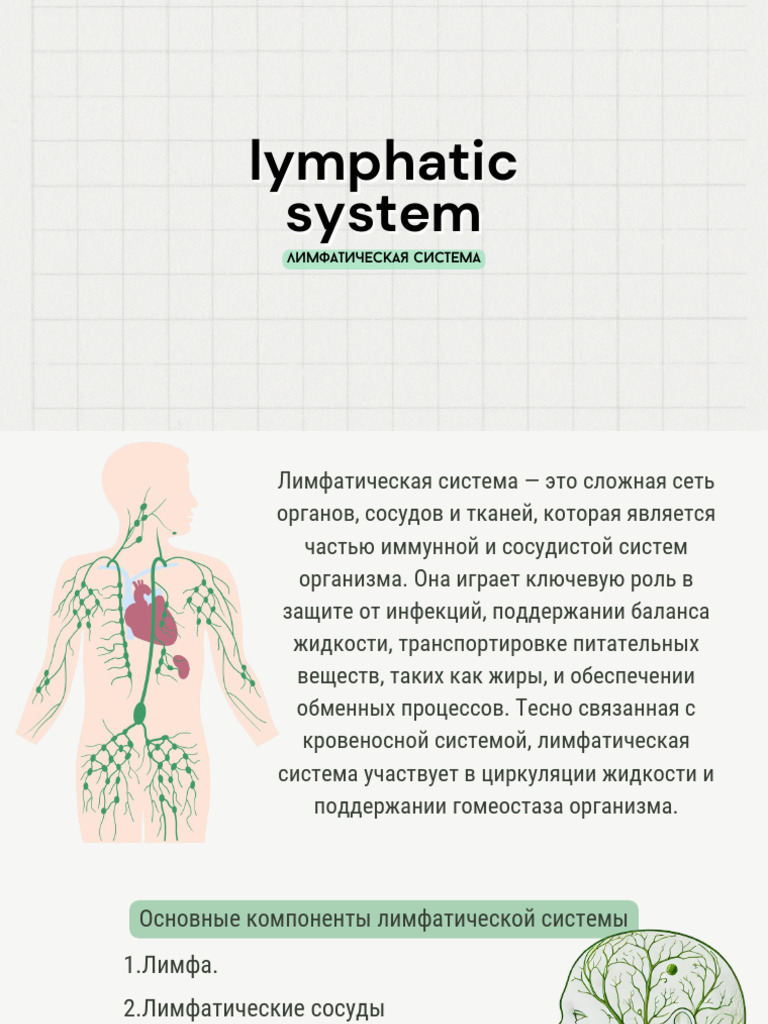 Lymphatic System PDF | PDF