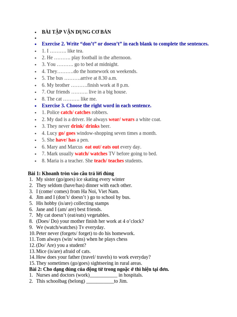 Basic English Grammar Exercises | PDF | Chess