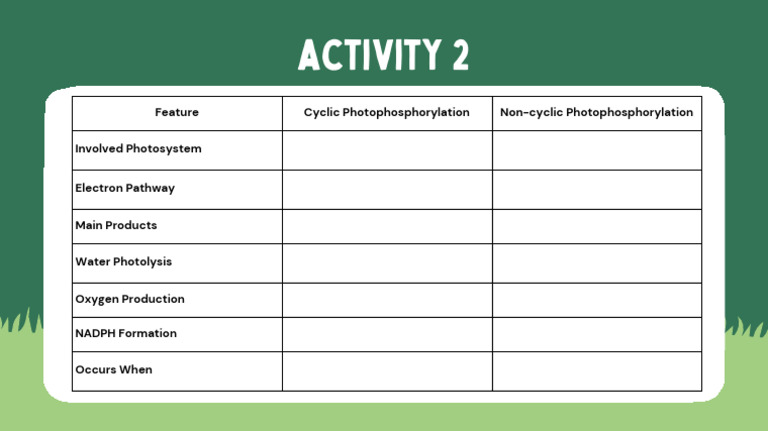 The Process of Photosynthesis Education Presentation in Green Style PDF ...