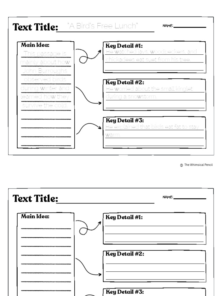 Problem and Solution Graphic Organizer | PDF