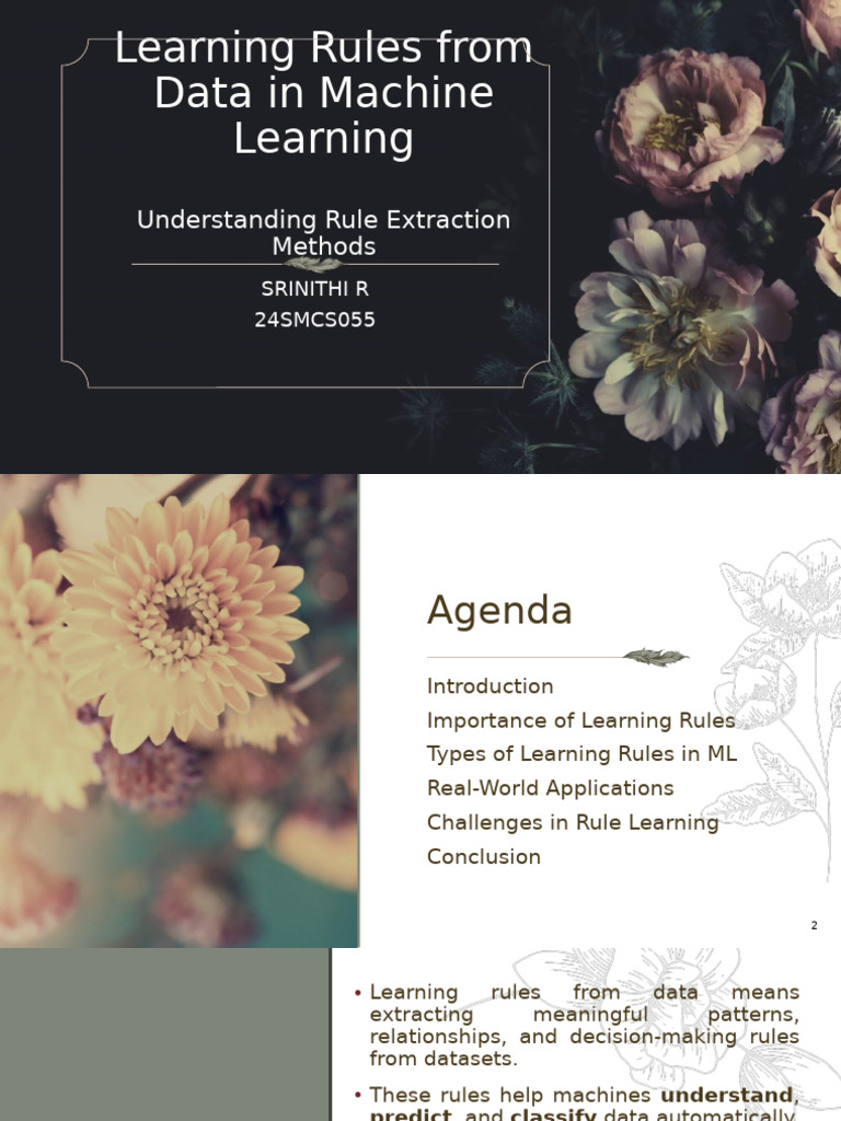 Machine Learning Rule Extraction Methods | PDF | Machine Learning ...