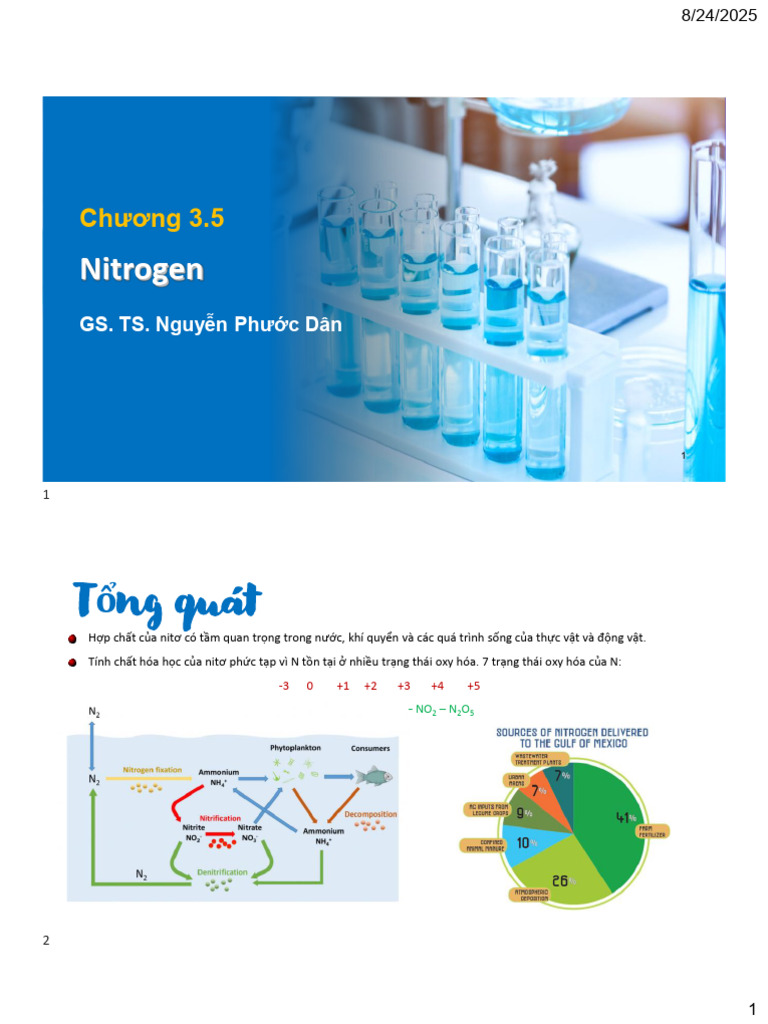 Chapter 3.5 - Nitrogen 2024 | PDF