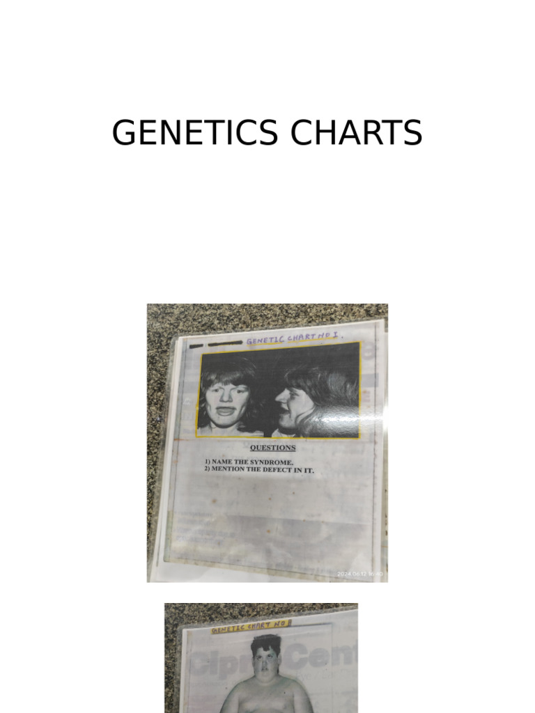 Genetics Chart | PDF