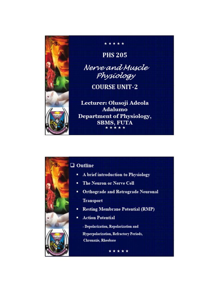 Nerve and Muscle Physiology Overview | PDF | Action Potential | Axon