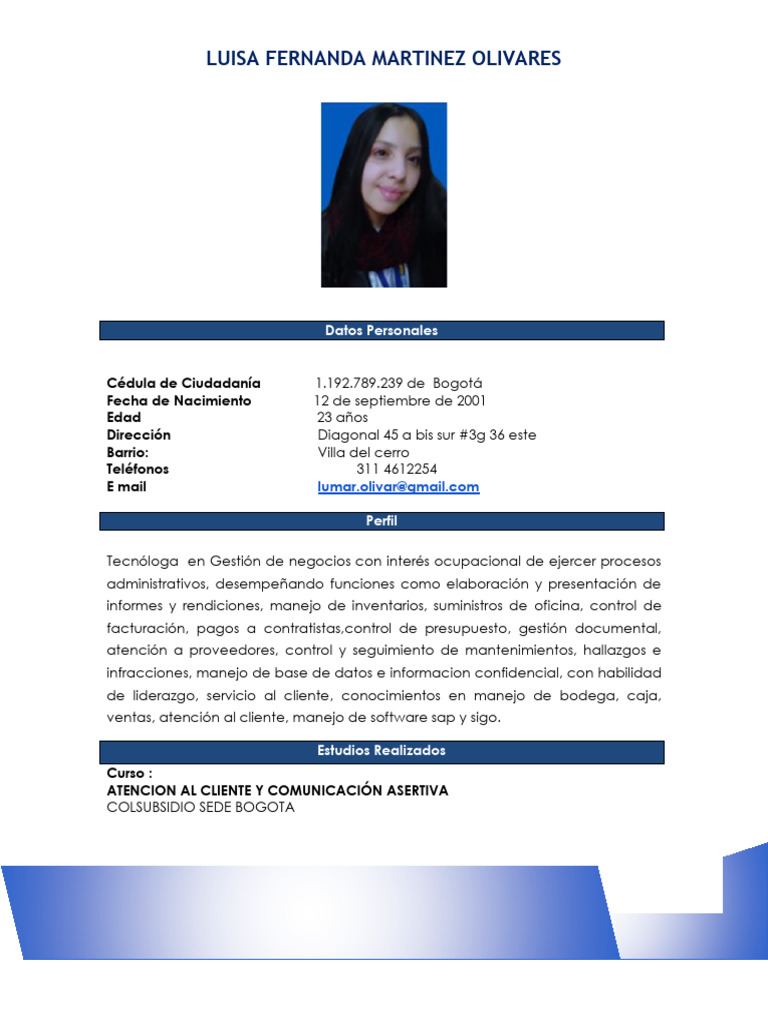 Perfil Profesional de Luisa Martínez Olivares | PDF