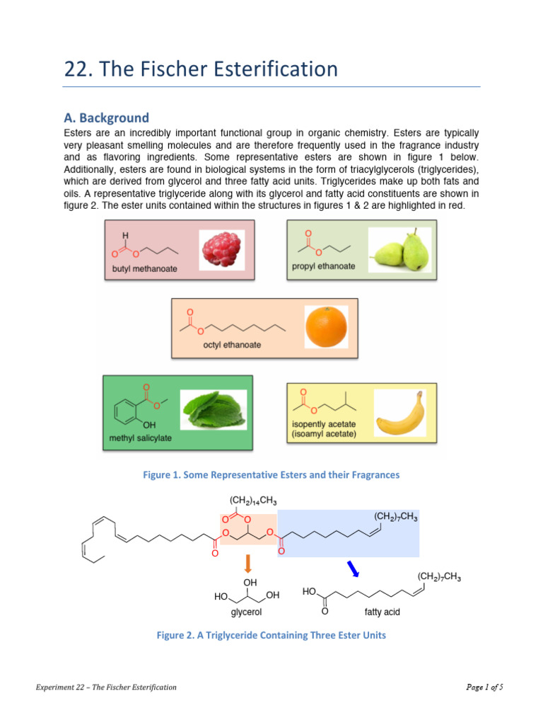 Exp 22 Fischer Esterification - 2017 | PDF | Ester | Acid