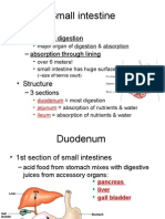 Digestive System Part B