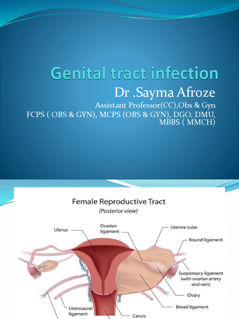 Gyn & Obs - Genital Tract Infection | PDF | Vagina | Uterus