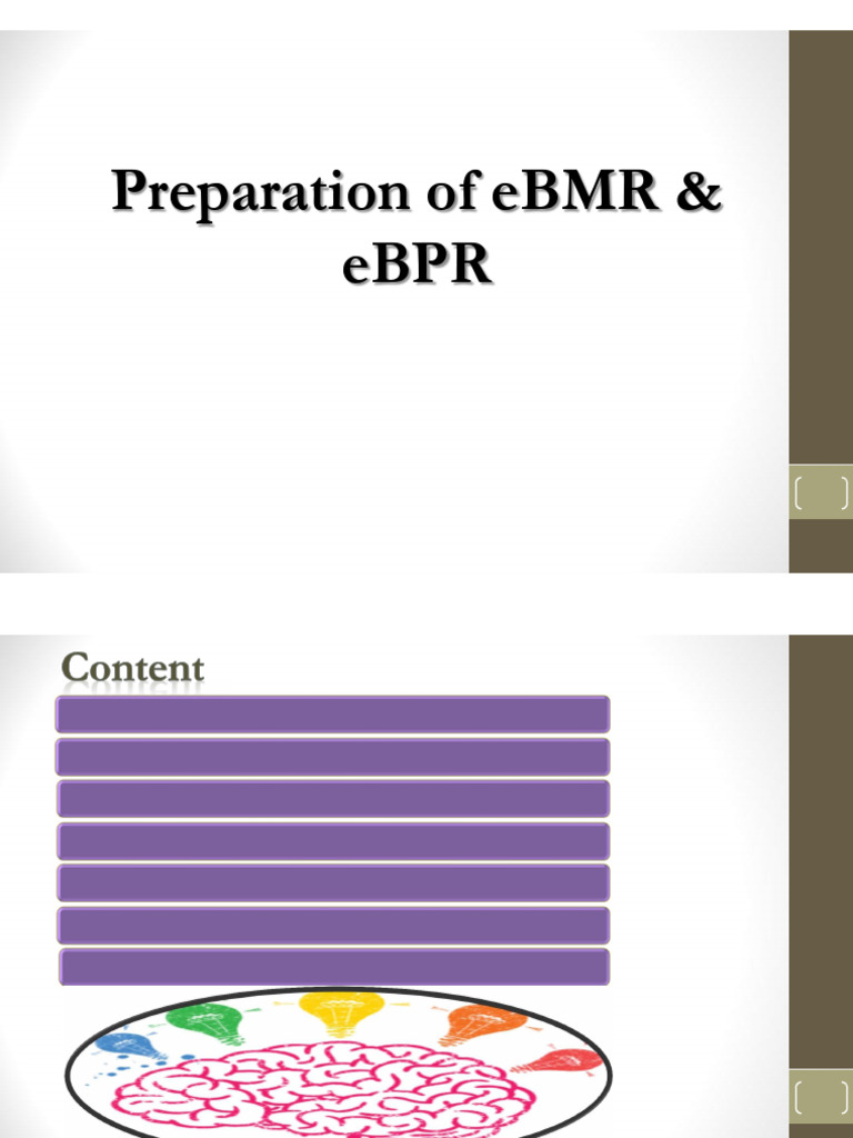 eBMR and eBPR Manufacturing Guidelines | PDF