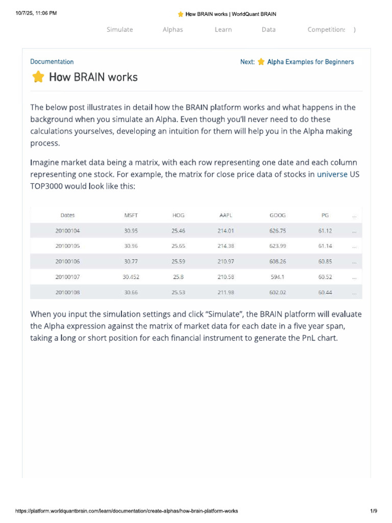 How BRAIN Works | PDF
