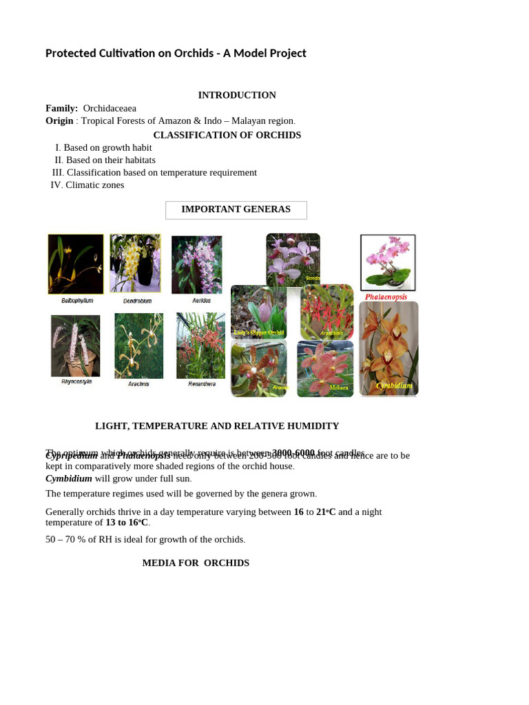 Orchids | PDF | Plants | Botany
