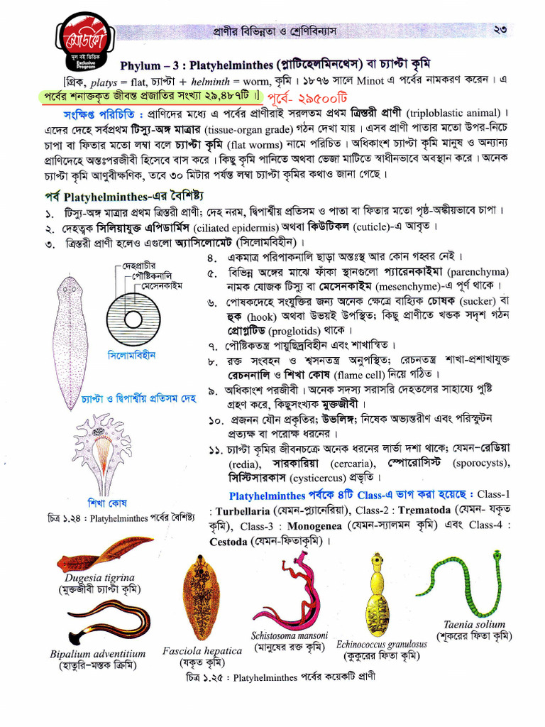 Zoology Azmal Sir 12th 2025 (New Information) - MEDICO | PDF