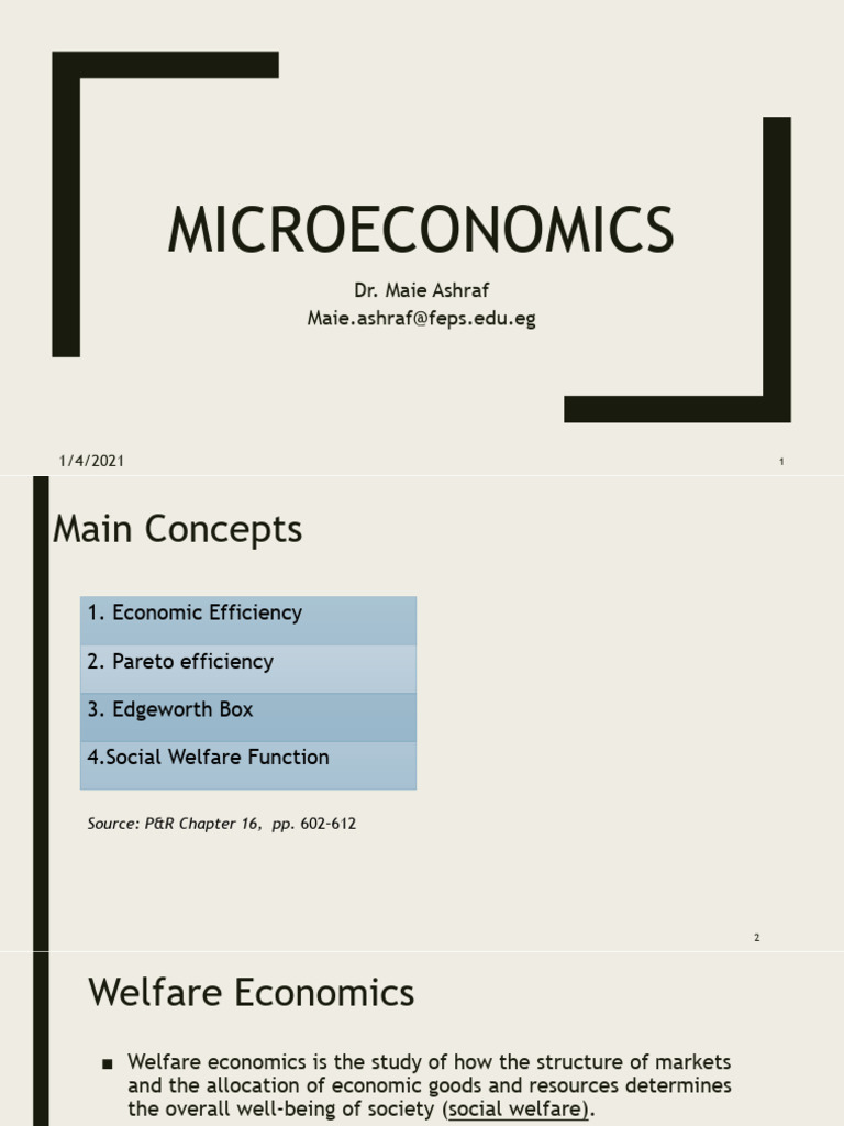 Microeconomics: Welfare Economics Insights | PDF | Welfare Economics ...