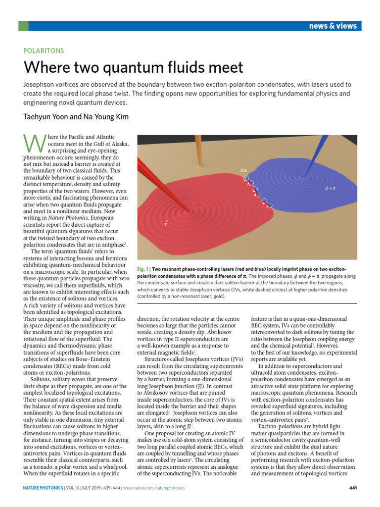 Josephson Vortices in Quantum Fluids | PDF | Soliton | Amyloid
