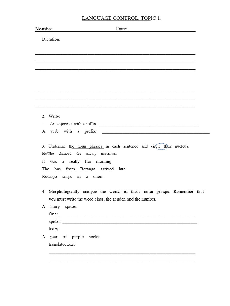 Language Control Exercises and Analysis | PDF