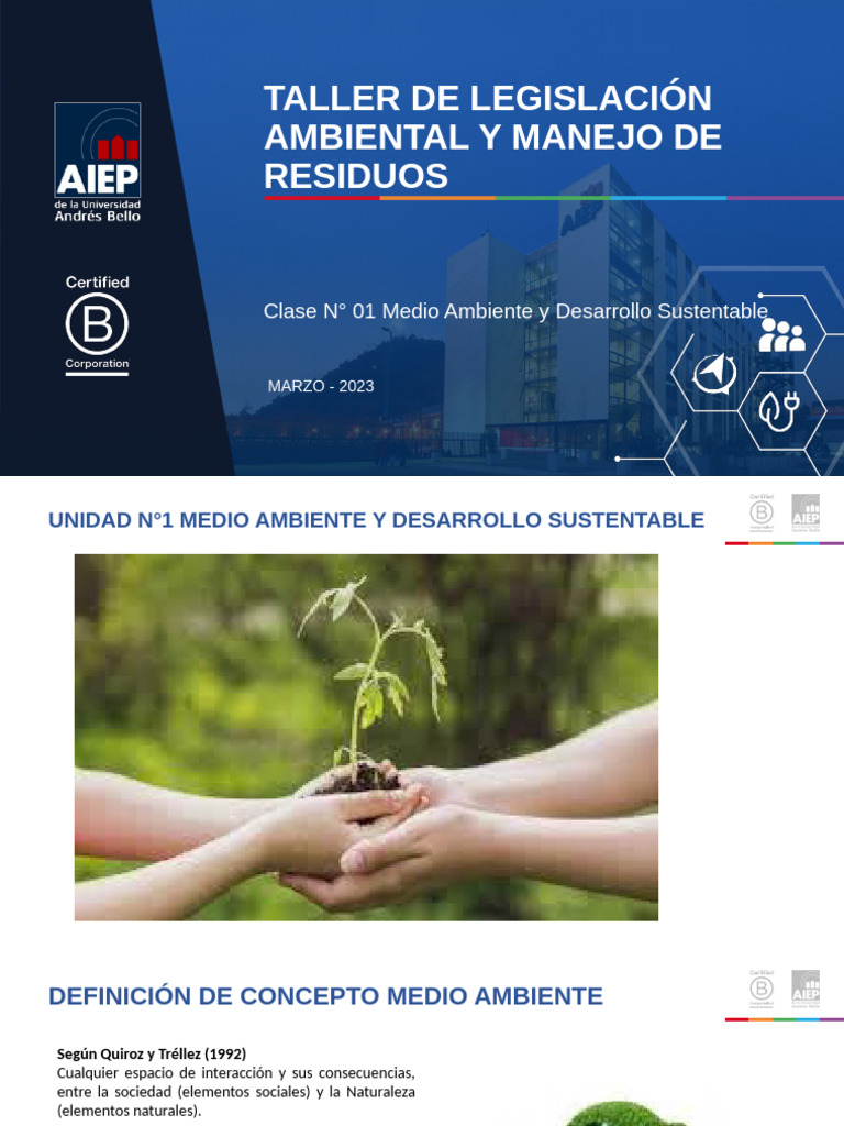 Clase 1 (2023) Medio Ambiente y Desarrollo Sustentable | PDF ...