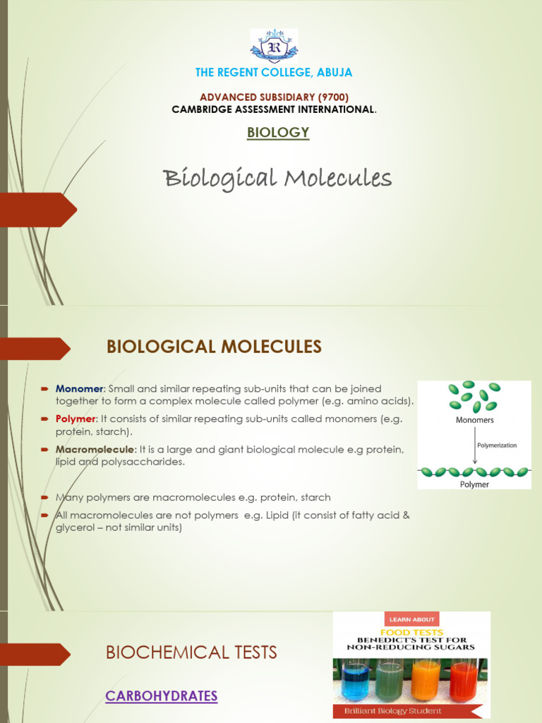 Understanding Biological Molecules and Tests | PDF | Carbohydrates ...