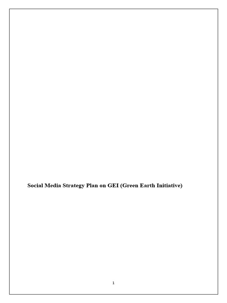 GEI Social Media Strategy Plan | PDF | Social Media | Popular Culture ...