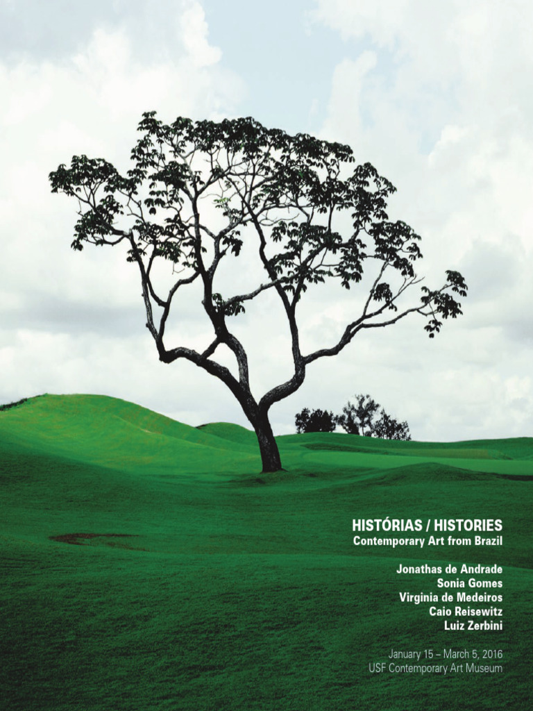Contemporary Brazilian Art Exhibition | PDF | Brazil | São Paulo