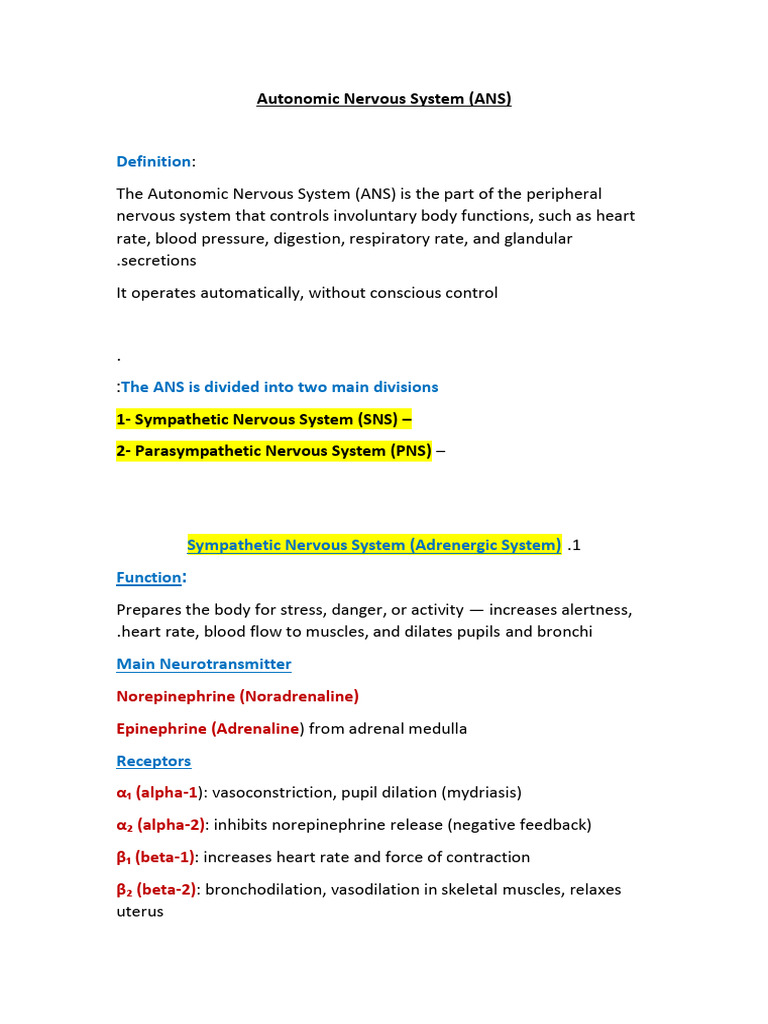 Autonomic Nervous System Overview | PDF | Acetylcholine | Norepinephrine