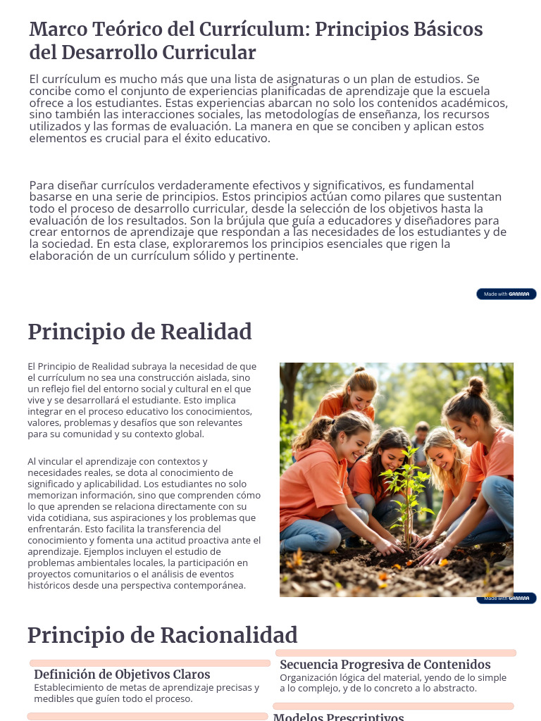 Principios del Desarrollo Curricular | PDF | Plan de estudios | Aprendizaje