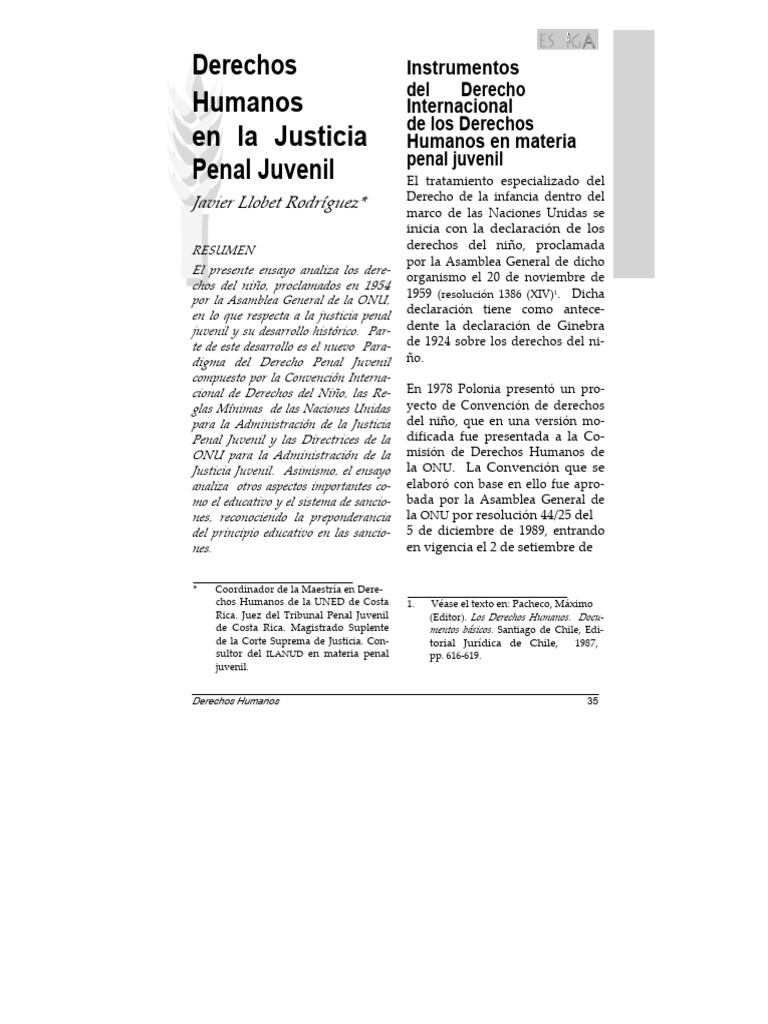 Derechos Humanos en La Justicia Penal Ju | PDF | Derecho penal ...