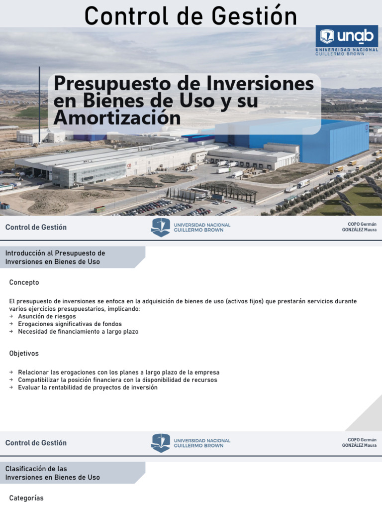 Sistema Presupuestario. El Presupuesto de Inversiones y Amortizaciones ...