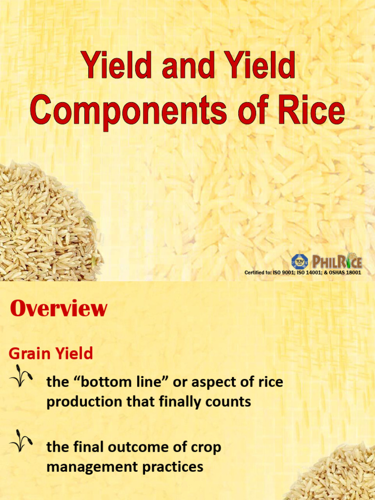 Rice Yield Components and Measurement Guide | PDF | Crop Yield | Rice