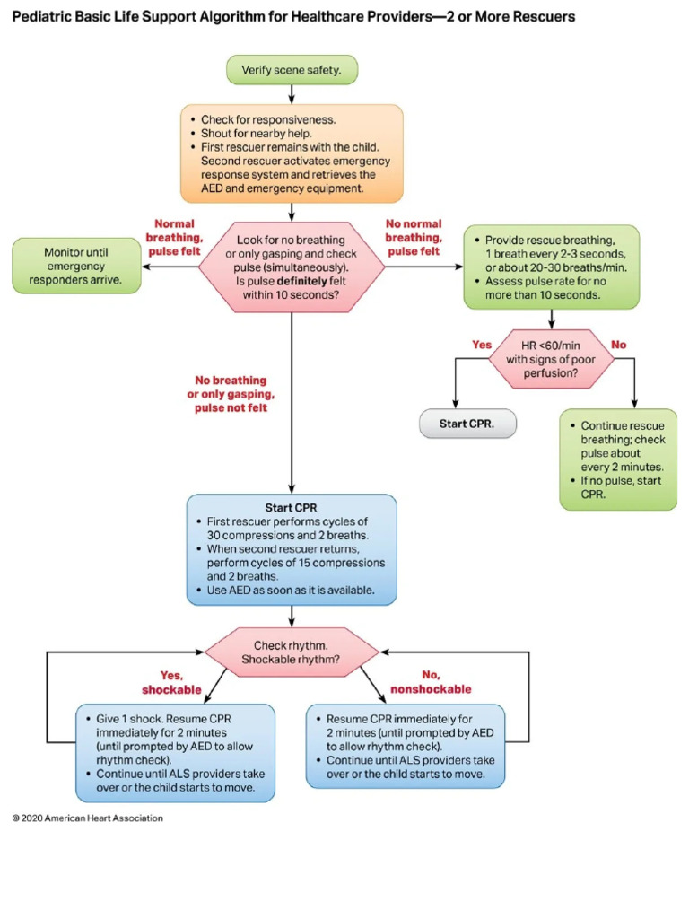 Acls Mega Code Algorithms | PDF