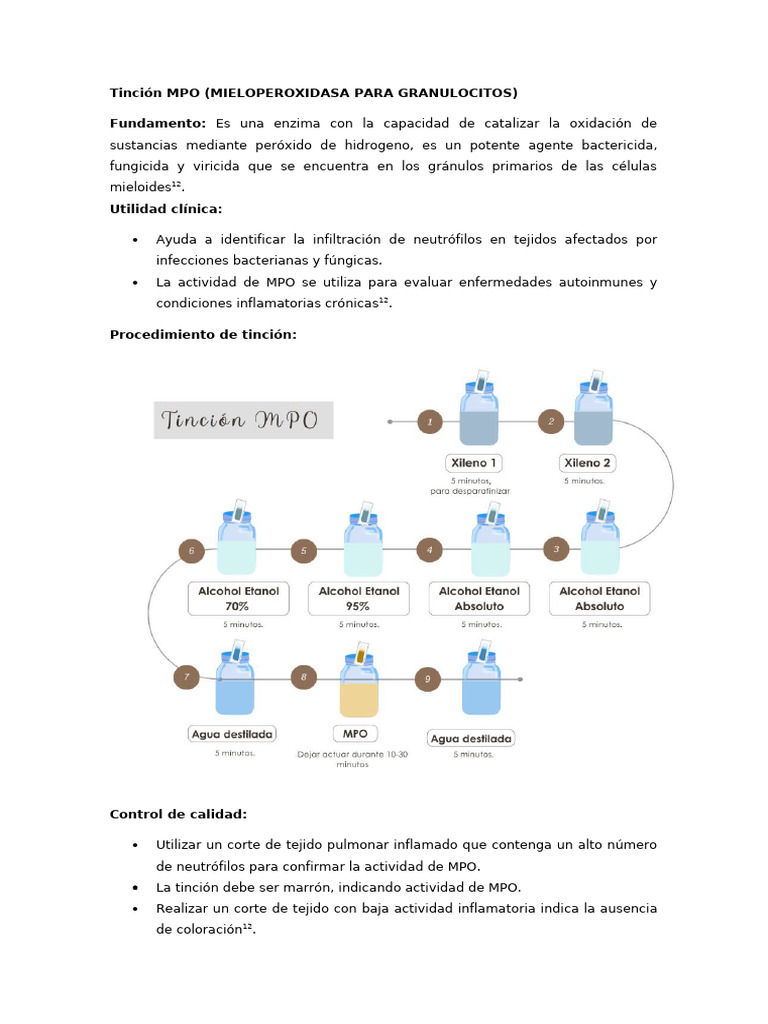 Tinción MPO para Diagnóstico Clínico | PDF