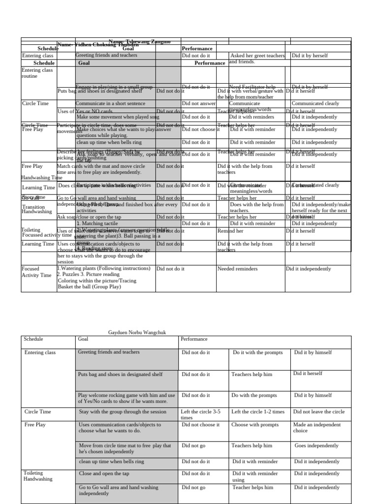 Child Performance Assessment Summary | PDF