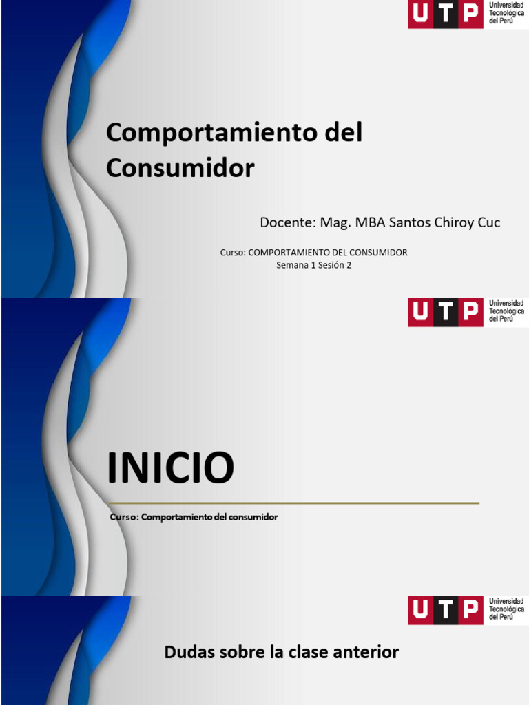 Tipos y Teorías del Consumidor | PDF | Comportamiento | Los consumidores