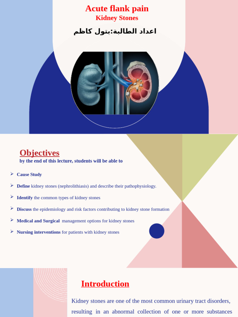 Understanding Kidney Stones: Causes & Management | PDF | Medical ...