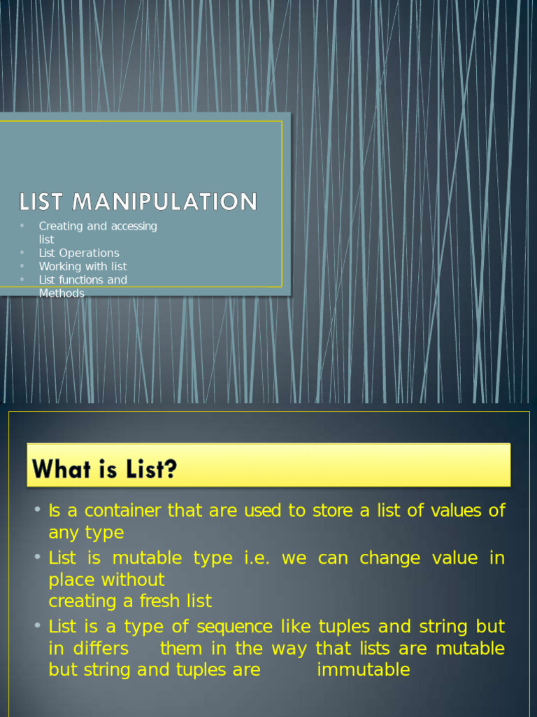 List Manipulation | PDF | String (Computer Science) | Software Engineering