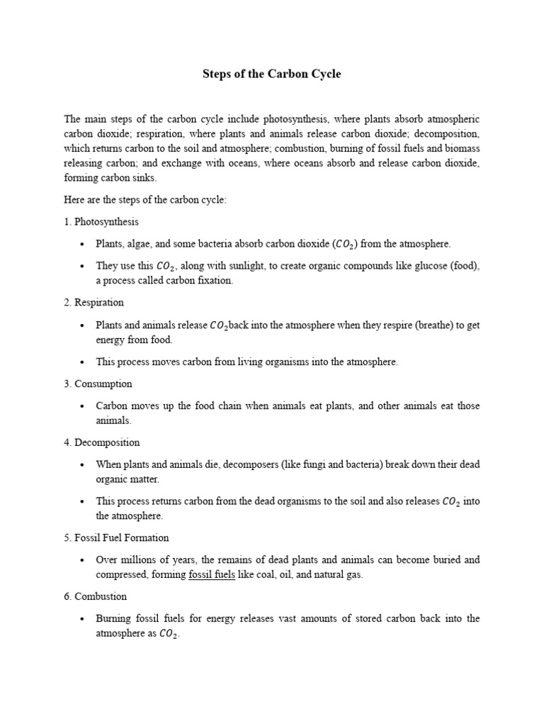 Steps of the Carbon Cycle Explained | PDF