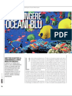 Raggiungere Oceani Blu