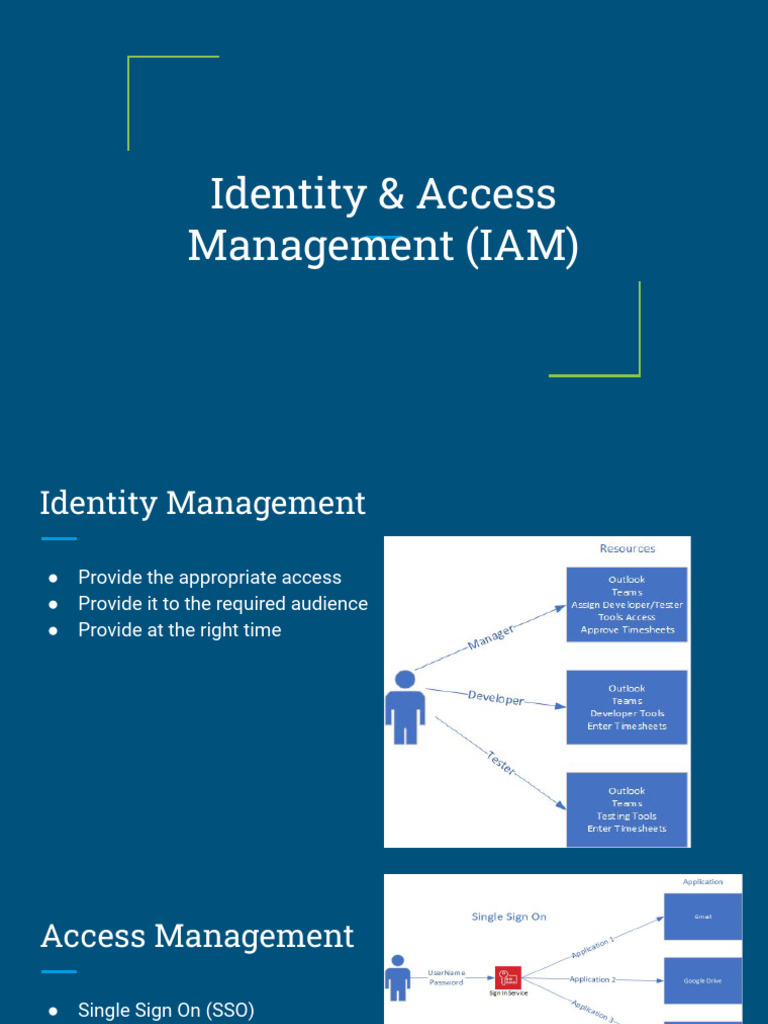 IAM Strategies: Access & Identity Management | PDF