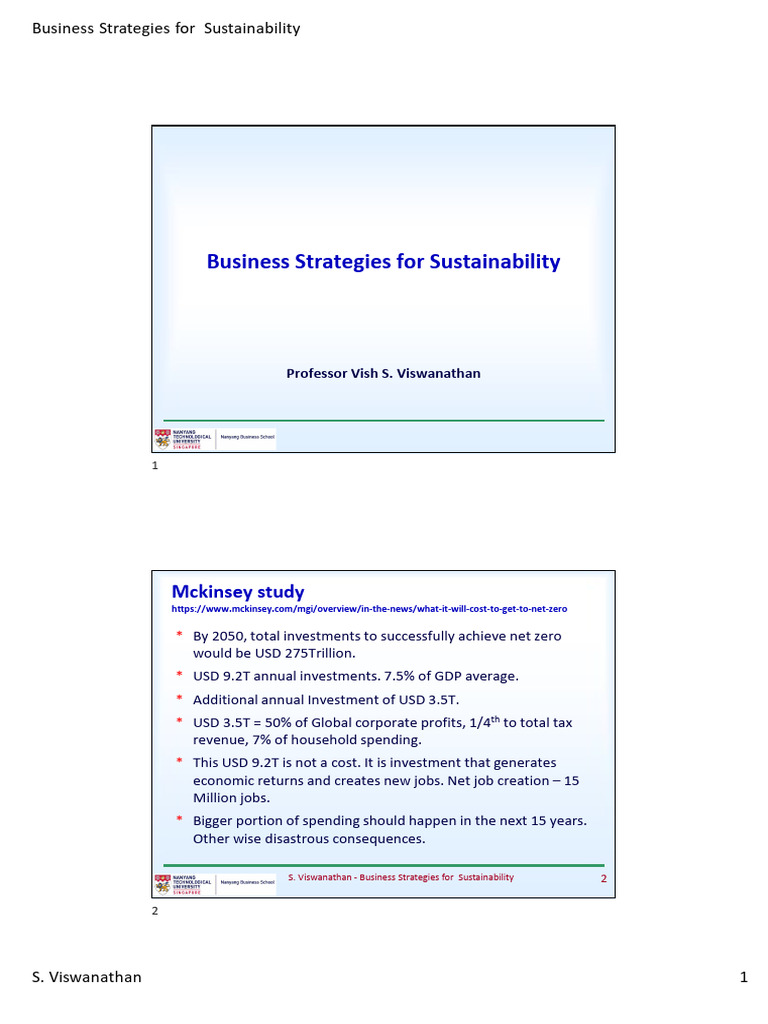 Business Strategies For Sustainability | PDF | Sustainability | Economies