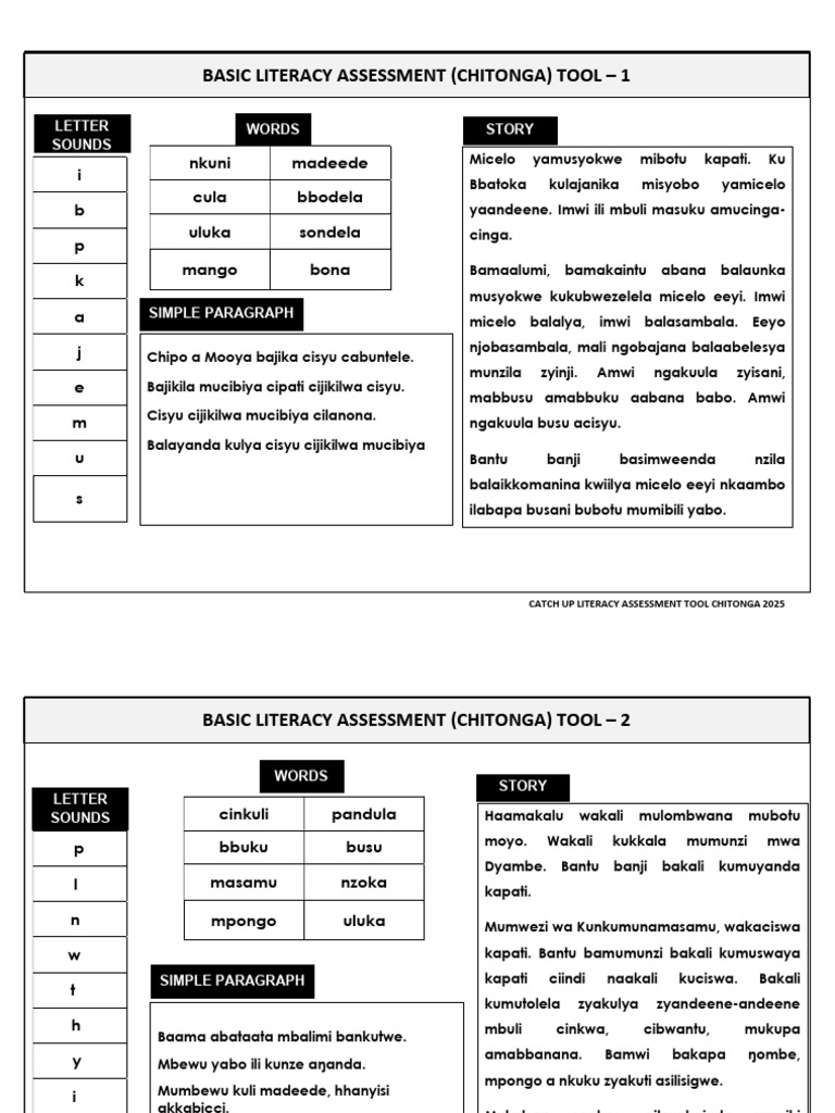 Chitonga Literacy Assessment Tool 2025 | PDF | Writing | Learning Methods