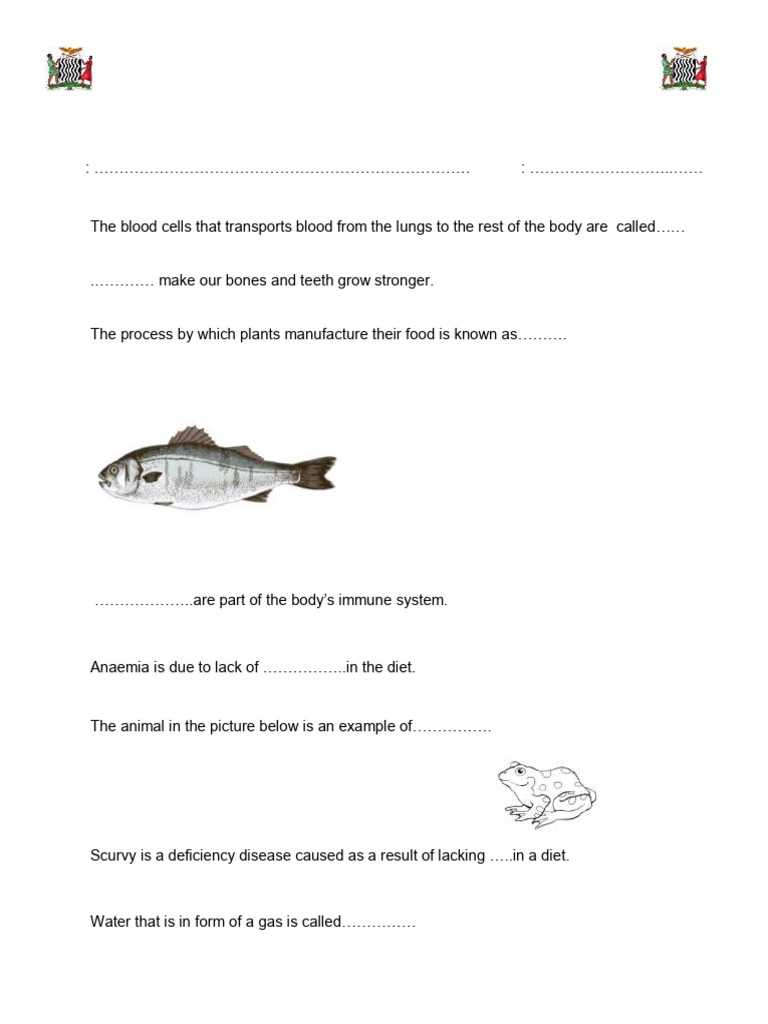 Grade 6 Integrated Science Test 2025 | PDF | Blood | Vitamin
