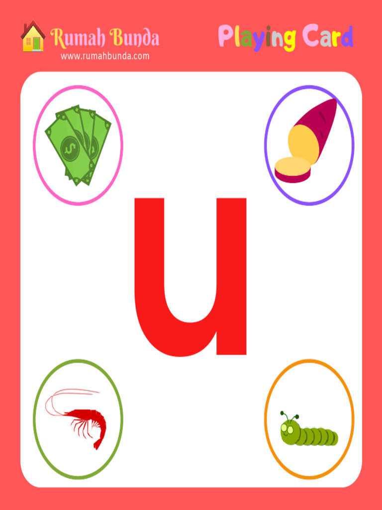 Flashcard U Z | PDF